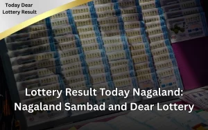 Today Dear Lottery official site for latest lottery results!