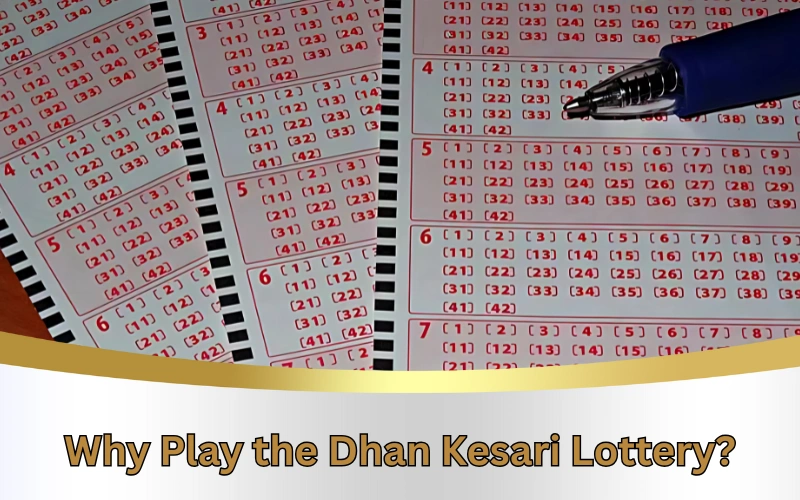 Today Dear Lottery official site for latest lottery results!