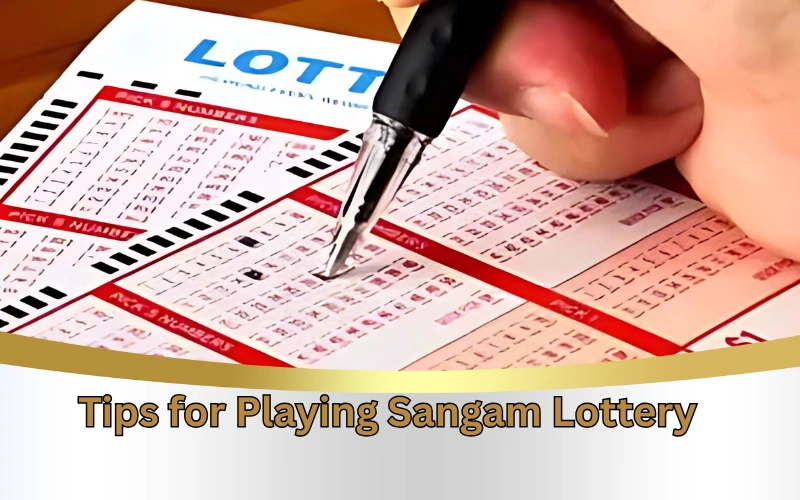 Today Dear Lottery official site for latest lottery results!