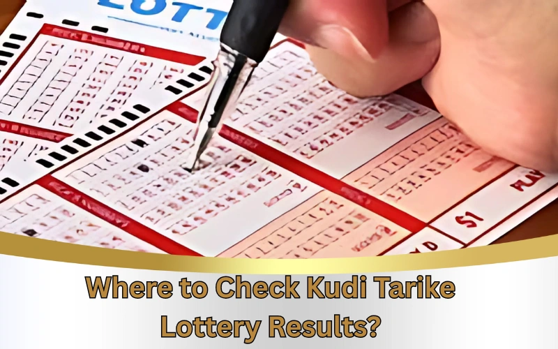 Today Dear Lottery official site for latest lottery results!