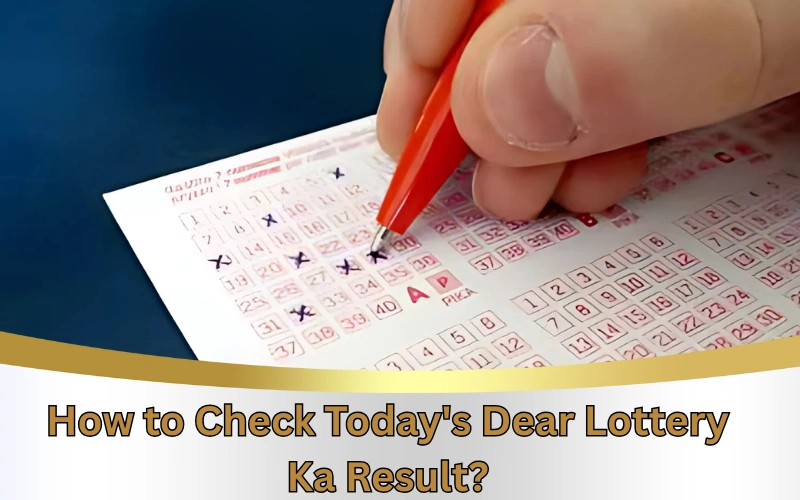 Today Dear Lottery official site for latest lottery results!