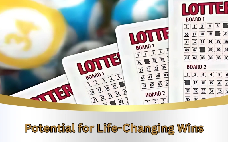 Today Dear Lottery official site for latest lottery results!