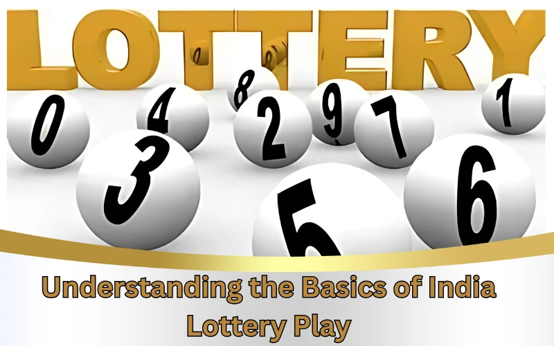 Today Dear Lottery official site for latest lottery results!
