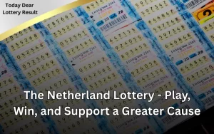 Today Dear Lottery official site for latest lottery results!
