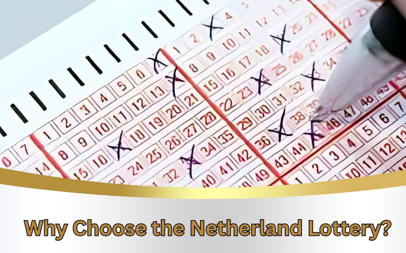 Today Dear Lottery official site for latest lottery results!