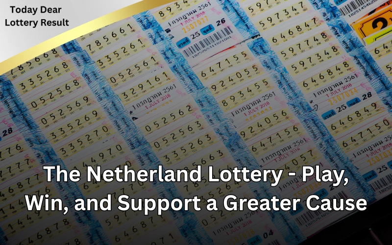 Today Dear Lottery official site for latest lottery results!
